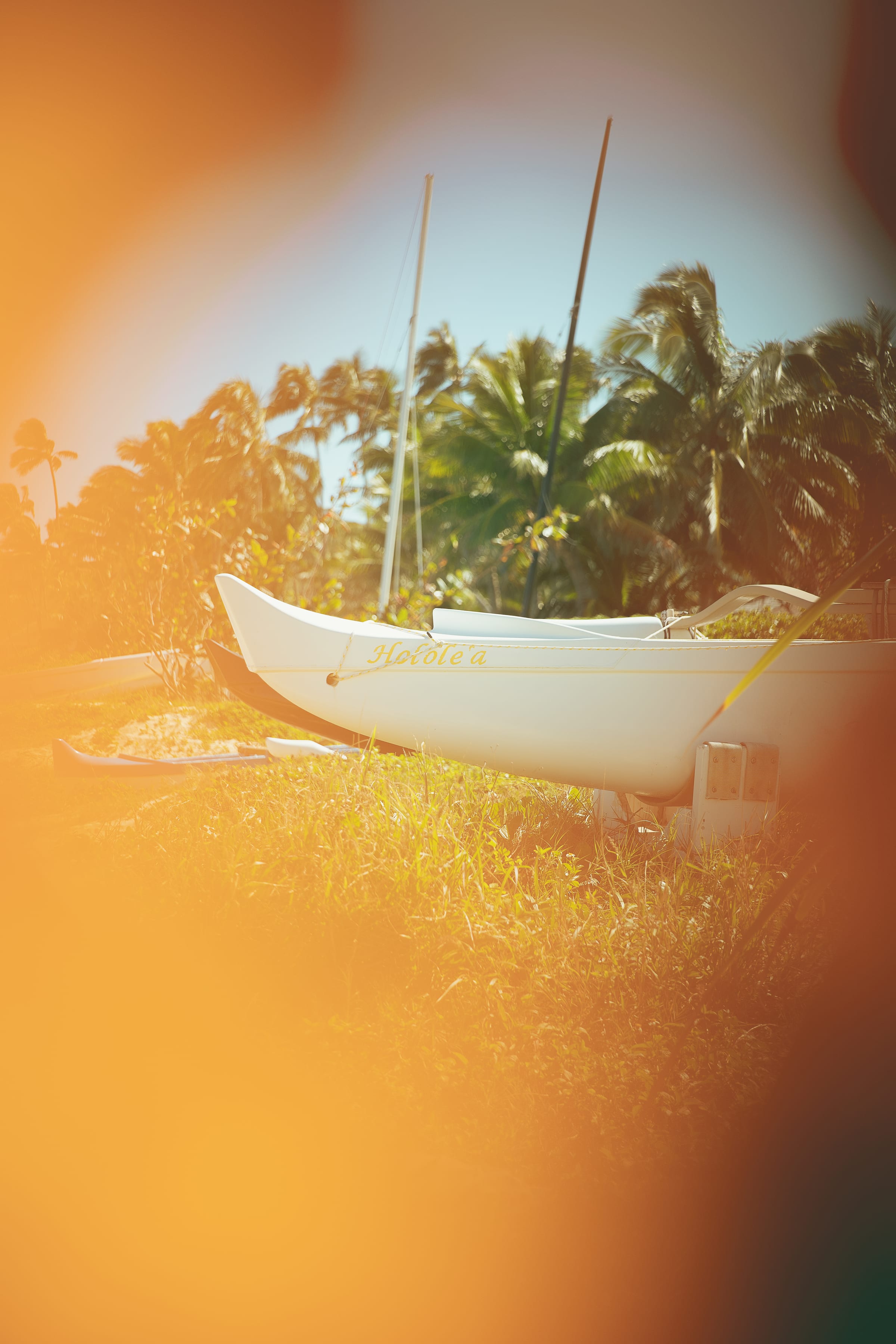 Travel — a boat under tropical palms